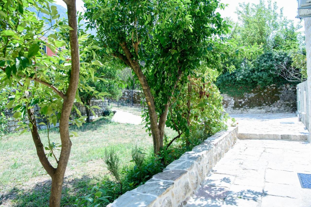 Willa Stone House 264 Kotor Zewnętrze zdjęcie